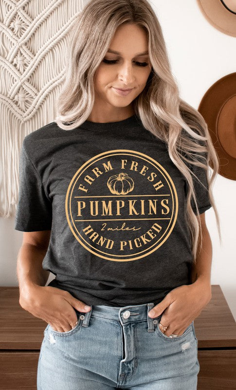 *Farm Fresh Pumpkins Circle PLUS Graphic Tee