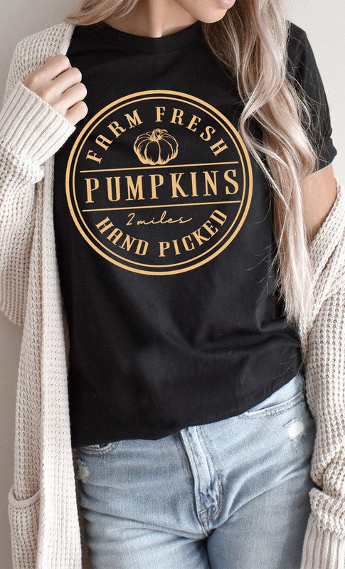 *Farm Fresh Pumpkins Circle PLUS Graphic Tee